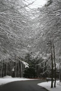 Park Administrative Office