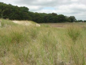 Park Administrative Office