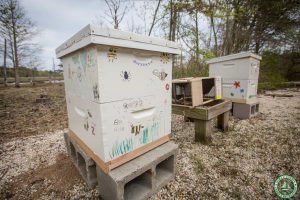 Cattus Island County Park