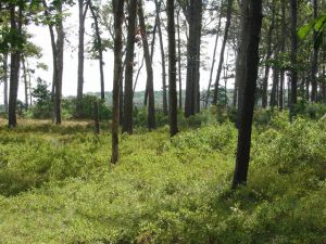 Park Administrative Office