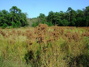 Park Administrative Office