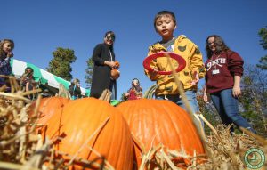 Jakes Branch County Park