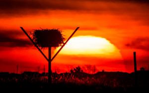 Cattus Island County Park