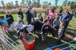 Jakes Branch County Park