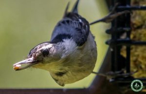 Jakes Branch County Park