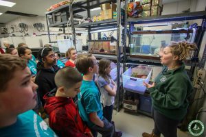 Cattus Island County Park