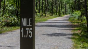 Barnegat Branch Trail