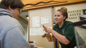 Wells Mills County Park