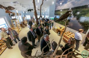 Cattus Island County Park