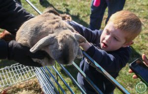 Jakes Branch County Park