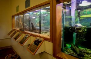 Jakes Branch County Park