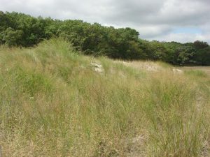 Park Administrative Office