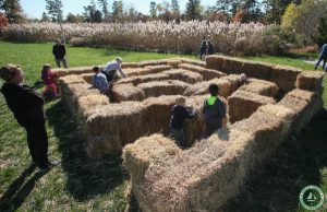 Jakes Branch County Park