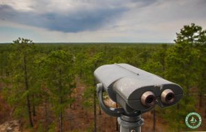 Jakes Branch County Park