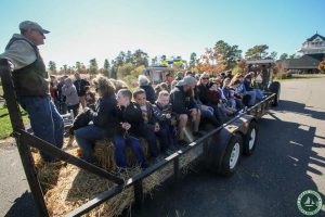 Jakes Branch County Park