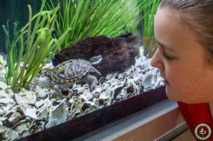 Cattus Island County Park