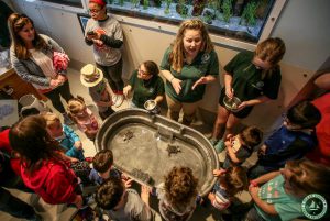 Cattus Island County Park