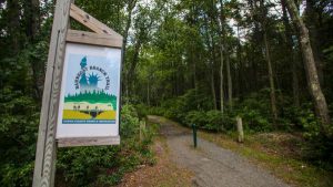 Barnegat Branch Trail