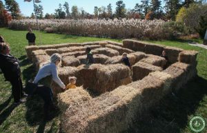 Jakes Branch County Park