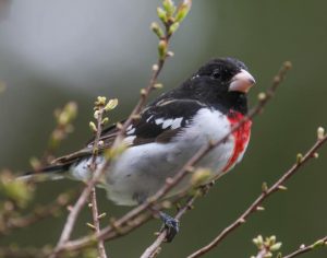 Wells Mills County Park