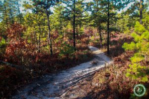Jakes Branch County Park