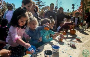 Jakes Branch County Park