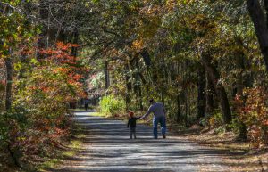 Cattus Island County Park
