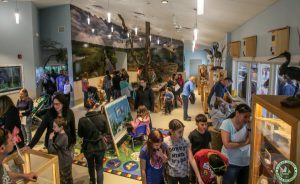 Cattus Island County Park