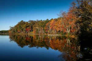 Wells Mills County Park