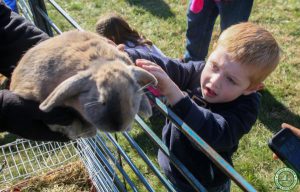 Jakes Branch County Park