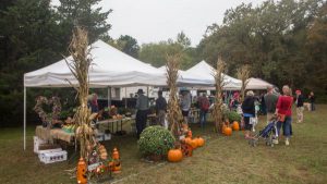 Wells Mills County Park