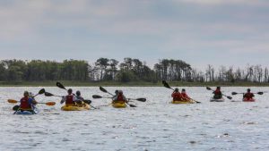 Cattus Island County Park