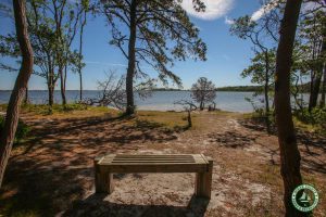 Cattus Island County Park