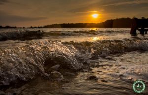 Cattus Island County Park