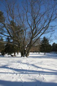 Park Administrative Office