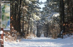 Barnegat Branch Trail