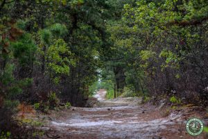 Jakes Branch County Park