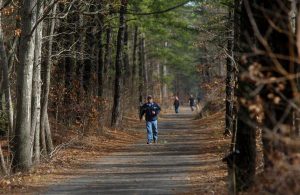 Barnegat Branch Trail