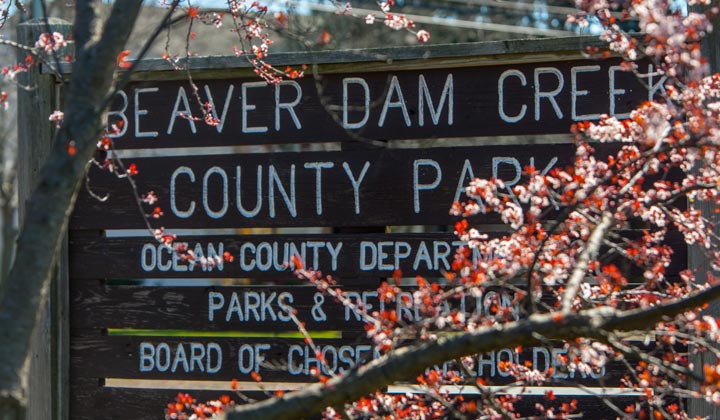 Beaver Dam Creek County Park - 40 Acres - Point Pleasant